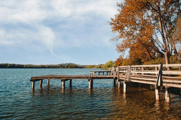 Unleashing calm: the transformative effects of pet therapy on college students" anxiety relief